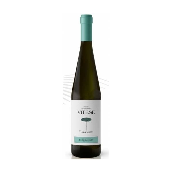 Vitese Chardonnay cl.75