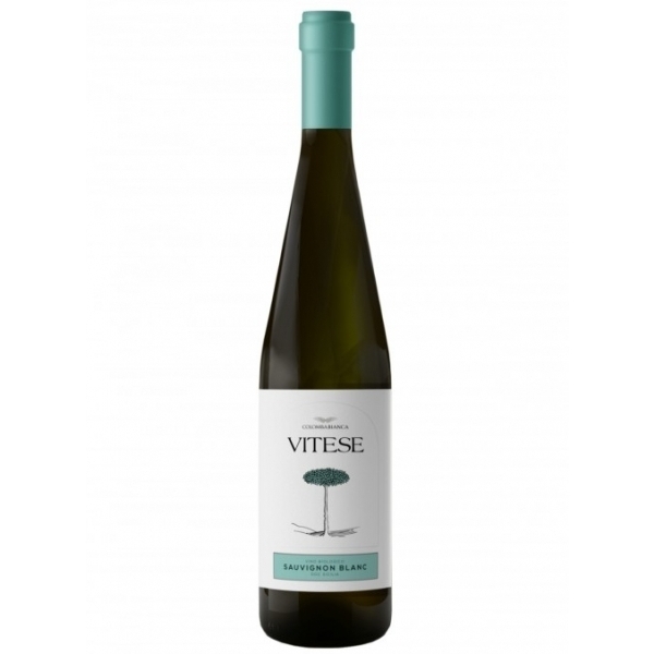 Vitese Sauvignon Blanc cl.75